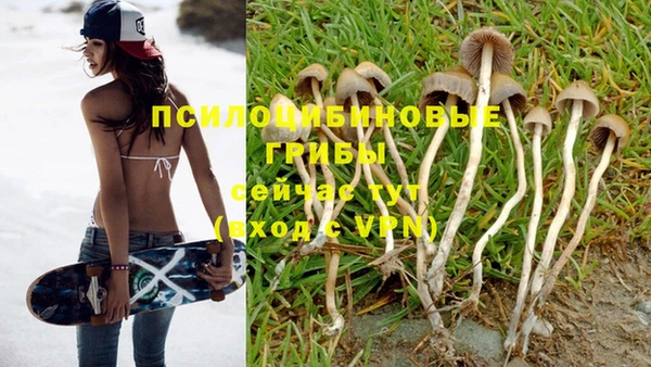 молекула духа Белокуриха
