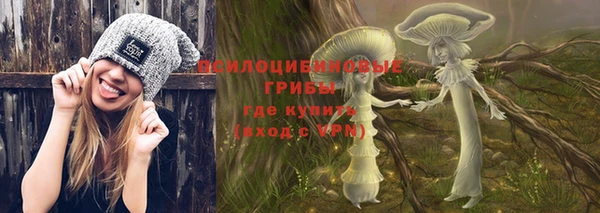 бошки Богородск