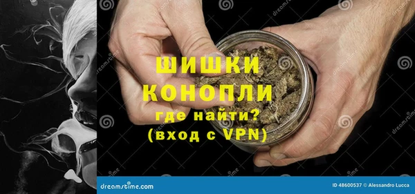 молекула духа Белокуриха